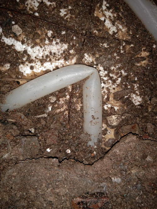 子长堵点精准查找